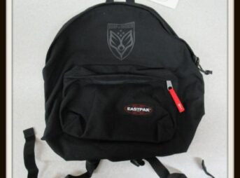 BUMP OF CHICKEN× EASTPAK PADDED PAK'R リュック