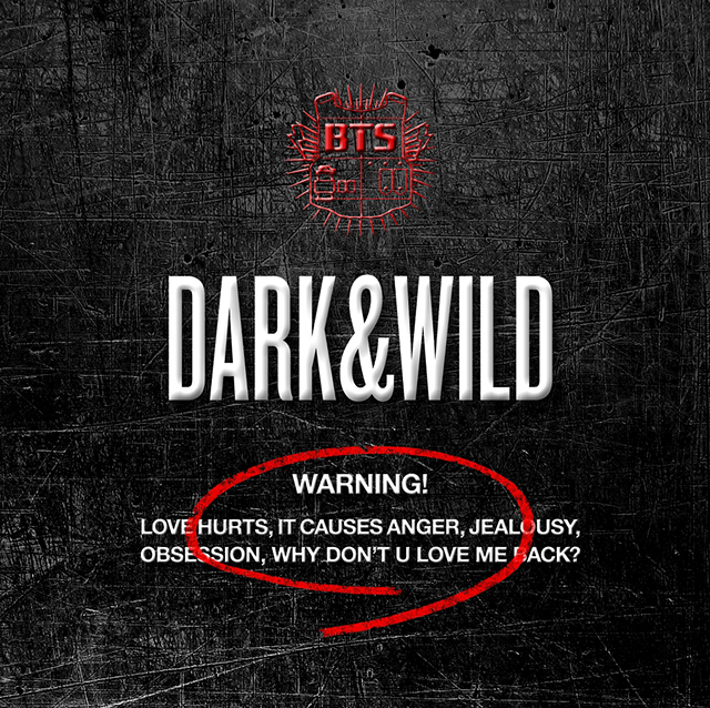 DARK＆WILD BTS