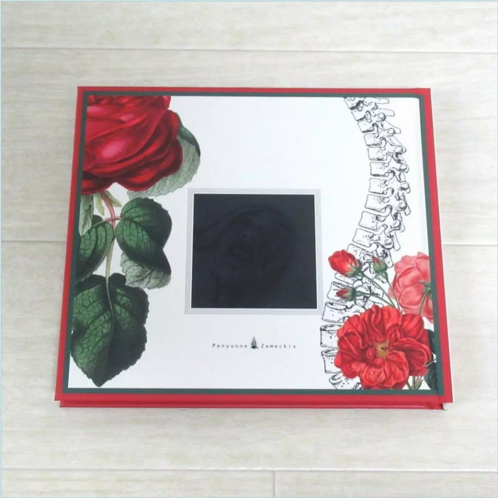 sukekiyo PASSIO CD+Blu-ray 会場限定盤 Dir en grey 京 裏