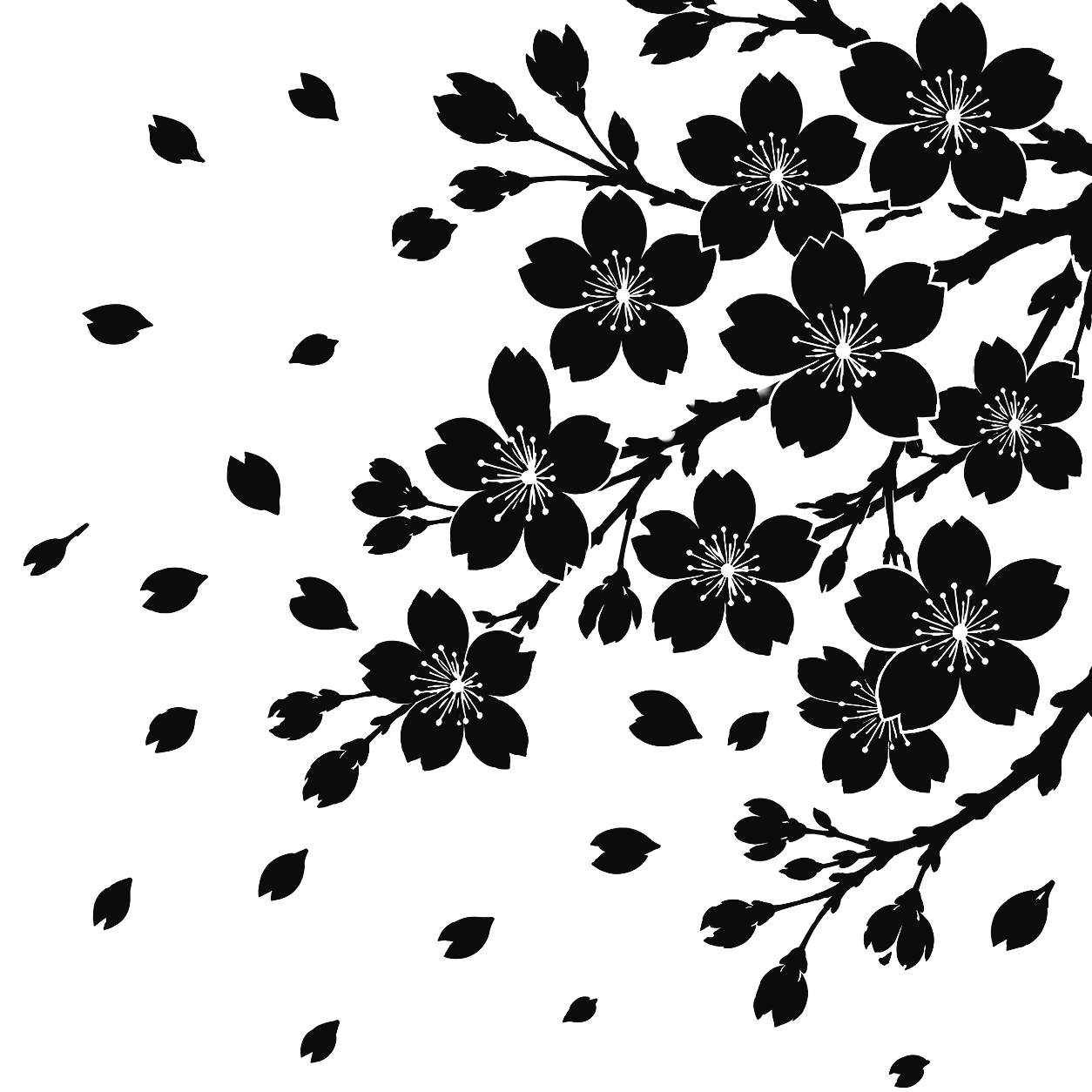 桜
