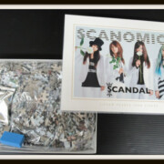 CANDAL スキャノミクス パズル スタンダード 1000ピース CANDAL スキャノミクス パズル スタンダード 1000ピース