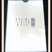 宝塚 和央ようか 限定DVD-BOX WAO I HISTORY