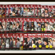 赤いシリーズ DVDマガジン 全55巻セット