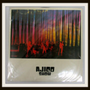 AJICO SHOW 2LP アナログ盤 レコード 浅井健一
