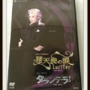 宝塚 雪組 DVD堕天使の涙/タランテラ!朝海ひかる