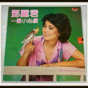 テレサ・テン 鄧麗君 一個小心願 LP 香港ポリドール盤