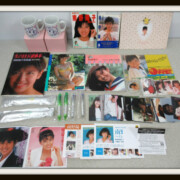 南野陽子 グッズセット (写真集、ブロマイド、マグカップ等）