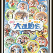 DVD ミュージカル テニスの王子様 春の大運動会 2014