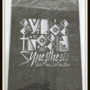 三浦大知 DAICHI MIURA LIVE TOUR 2011 〜Synesthesia〜 パンフレット