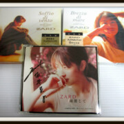 ZARD CD 3枚セット直筆サイン入り含む瞳閉じて坂井泉水レア度★★★★★★★★★★ ZARD CD 3枚セット直筆サイン入り含む瞳閉じて坂井泉水