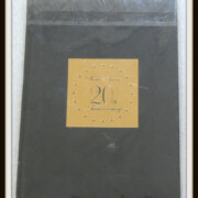 安室奈美恵 20th 5 Major Domes Tour 2012 パンフレット