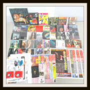 天野月子 CD DVD グッズセット 5 five アルバム リストバンド ファンクラブ会報