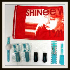 SHINee ジョンヒョン I'm your boy shinee world2014 タオル