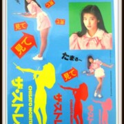 森高千里 未使用 ストレス ステッカー