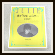 沢田研二『我が名はジュリー』玉村豊男 編 スーパースター初の自叙伝レア度★★★★★☆☆☆☆☆ 沢田研二『我が名はジュリー』玉村豊男 編 スーパースター初の自叙伝