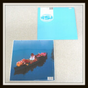 陽のあたる場所THE GLORY DAY 2点 MISIA 陽のあたる場所THE GLORY DAY 2枚セット アナログ レコード