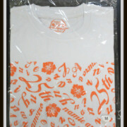 安室奈美恵 namie amuro 25th ANNIVERSARY LIVE in OKINAWA ロゴTシャツ