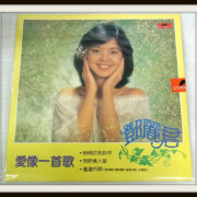 テレサ・テン 鄧麗君 香港盤LP 愛像一首歌 polydor 歌詞付き