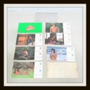 HIDEKI 1978 CALENDAR 西城秀樹カレンダー HIDEKI 1978 CALENDAR 西城秀樹カレンダー