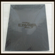 THE BIBLE OF EIKICHI YAZAWA 矢沢永吉