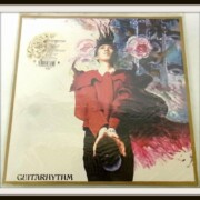 LP/布袋寅泰 GUITARHYTHM ギタリズム