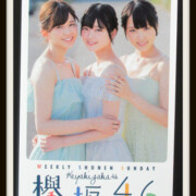 欅坂46・櫻坂46グッズ 買取ギャラリー - 良盤ディスク