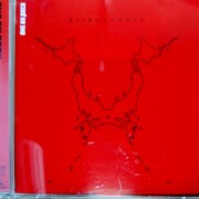 ONE OK ROCK Nicheシンドローム(初回限定盤)(DVD付)