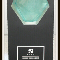 SHINee WORLD 2017 FIVE 無線コントロール ペンライト