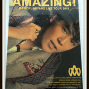 宮野真守 宮野真守 LIVE TOUR 2015 AMAZING! パンフレット