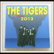THE TIGERS 2013写真集