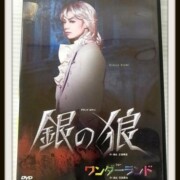 宝塚 雪組 DVD 「銀の狼ワンダーランド」 朝海ひかる