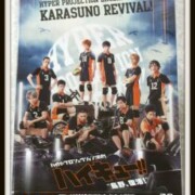 東宝舞台 DVD ハイパープロジェクション演劇 ハイキュー!! 烏野、復活!