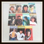 西城秀樹 会報 Apple House 11冊 No.7~No.16+最終号 西城秀樹 会報 Apple House 11冊 No.7~No.16+最終号