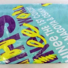 2011 SHINee World スポーツタオル