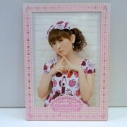 田村ゆかり Spring fever 2005 ライブ パンフ